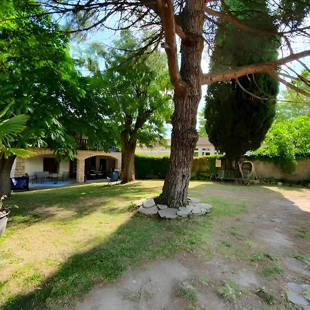 La Maison De La Majore Au Pied De La Cite Vakantiehuis Carcassonne
